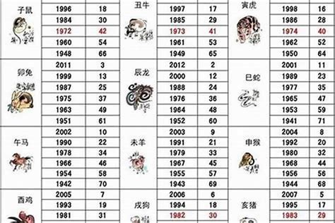 78年出生 生肖